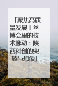 聚焦高质量发展丨丝博会里的技术脉动：陕西科创的突破与想象