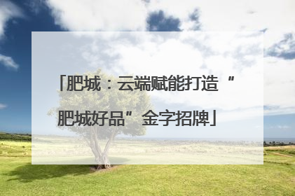 肥城：云端赋能打造“肥城好品”金字招牌