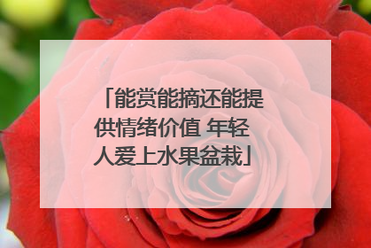 能赏能摘还能提供情绪价值 年轻人爱上水果盆栽