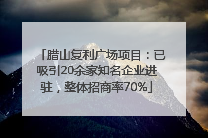 腊山复利广场项目：已吸引20余家知名企业进驻，整体招商率70%