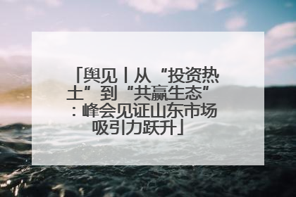 舆见丨从“投资热土”到“共赢生态”：峰会见证山东市场吸引力跃升