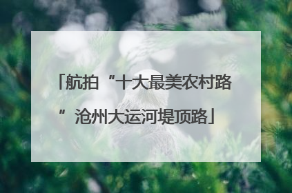 航拍“十大最美农村路”沧州大运河堤顶路