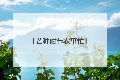 芒种时节农事忙