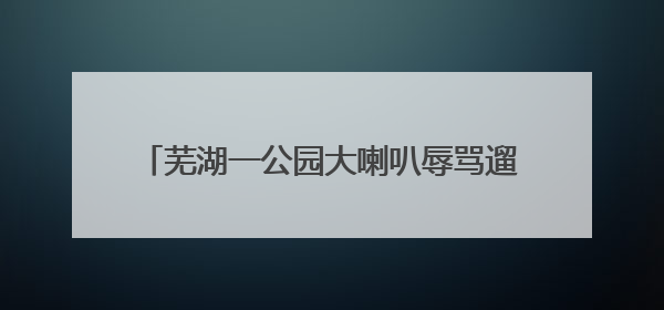 芜湖一公园大喇叭辱骂遛狗市民？真相来了……