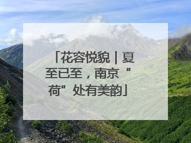 花容悦貌｜夏至已至，南京“荷”处有美韵