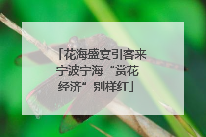 花海盛宴引客来 宁波宁海“赏花经济”别样红