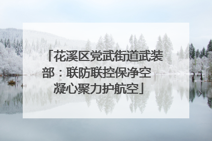 花溪区党武街道武装部：联防联控保净空 凝心聚力护航空