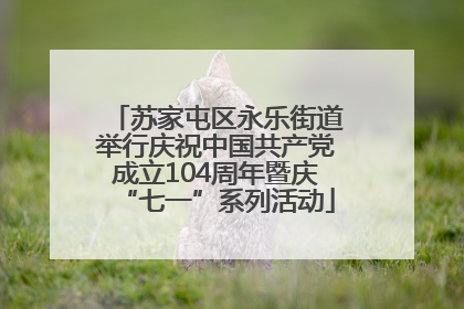 苏家屯区永乐街道举行庆祝中国共产党成立104周年暨庆“七一”系列活动