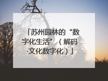 苏州园林的“数字化生活”（解码·文化数字化）