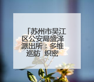 苏州市吴江区公安局盛泽派出所：多维巡防  织密绸都“平安网”
