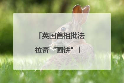 英国首相批法拉奇“画饼”