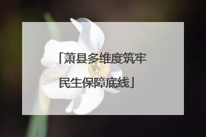萧县多维度筑牢民生保障底线