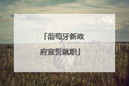 葡萄牙新政府宣誓就职