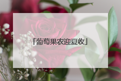 葡萄果农迎夏收