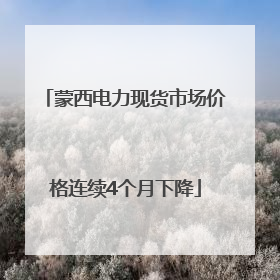 蒙西电力现货市场价格连续4个月下降