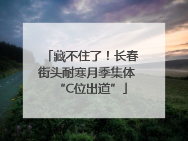 藏不住了！长春街头耐寒月季集体“C位出道”
