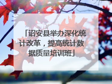 诏安县举办深化统计改革，提高统计数据质量培训班