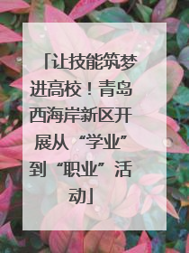 让技能筑梦进高校！青岛西海岸新区开展从“学业”到“职业”活动