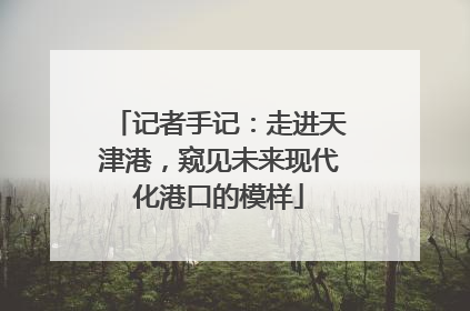记者手记：走进天津港，窥见未来现代化港口的模样