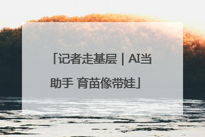 记者走基层｜AI当助手 育苗像带娃