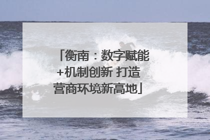 衡南：数字赋能+机制创新 打造营商环境新高地