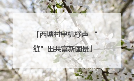 西塘村里机杼声 “缝”出共富新图景