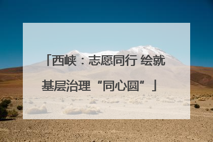 西峡：志愿同行 绘就基层治理“同心圆”