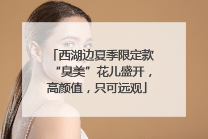 西湖边夏季限定款“臭美”花儿盛开，高颜值，只可远观