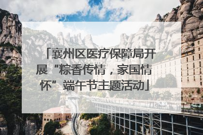 襄州区医疗保障局开展“粽香传情，家国情怀”端午节主题活动