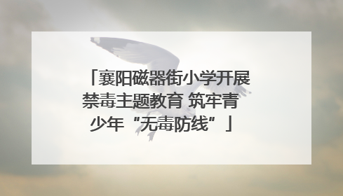 襄阳磁器街小学开展禁毒主题教育 筑牢青少年“无毒防线”