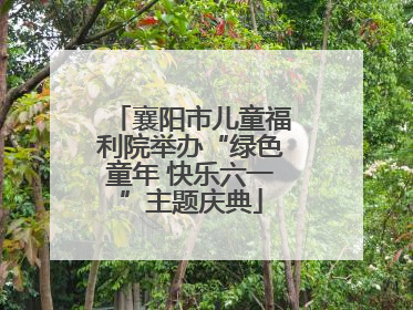 襄阳市儿童福利院举办“绿色童年 快乐六一”主题庆典