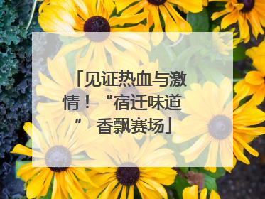 见证热血与激情！“宿迁味道” 香飘赛场