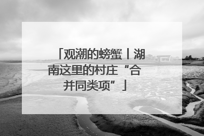 观潮的螃蟹丨湖南这里的村庄“合并同类项”