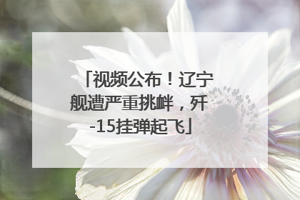 视频公布！辽宁舰遭严重挑衅，歼-15挂弹起飞