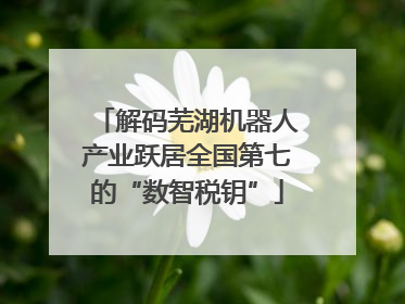 解码芜湖机器人产业跃居全国第七的“数智税钥”