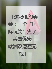 这场北约峰会：一个“国际玩笑”火了 美国优先 欧洲议题遭无视