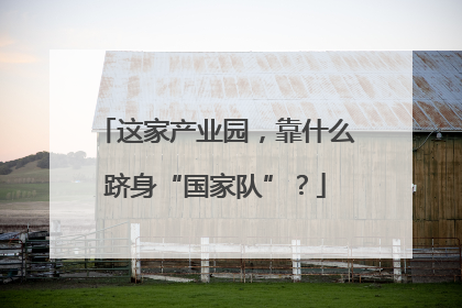 这家产业园，靠什么跻身“国家队”？