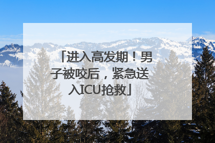 进入高发期！男子被咬后，紧急送入ICU抢救