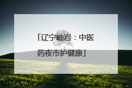 辽宁岫岩：中医药夜市护健康