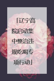 辽宁高院启动集中整治违规吃喝专项行动