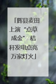 辉县麦田上演“点草成金” 秸秆发电点亮万家灯火