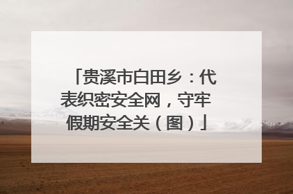 贵溪市白田乡：代表织密安全网，守牢假期安全关（图）