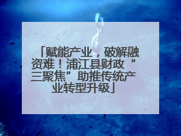 赋能产业，破解融资难！浦江县财政“三聚焦”助推传统产业转型升级