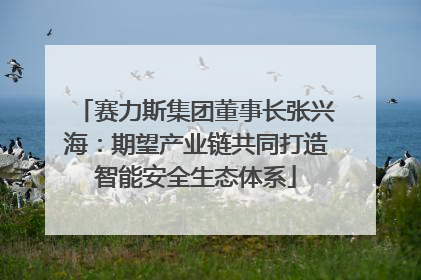 赛力斯集团董事长张兴海：期望产业链共同打造智能安全生态体系