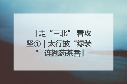 走“三北” 看攻坚①｜太行披“绿装” 连翘药茶香