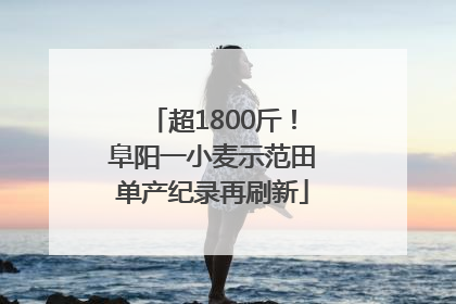 超1800斤！阜阳一小麦示范田单产纪录再刷新