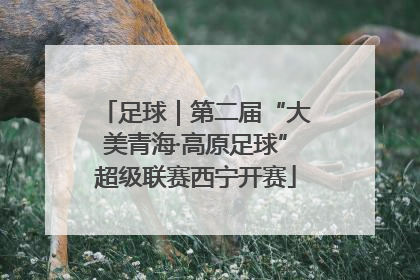 足球｜第二届“大美青海·高原足球”超级联赛西宁开赛