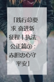 践行总要求 奋进新征程丨执法公正篇③：赤胆忠心守平安