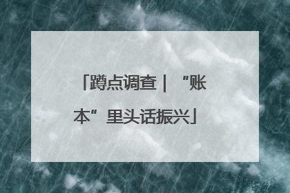 蹲点调查｜“账本”里头话振兴