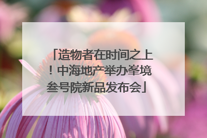 造物者在时间之上！中海地产举办峯境叁号院新品发布会